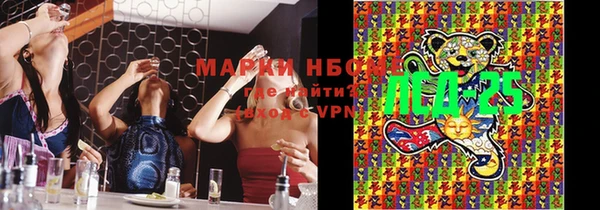 индика Алзамай