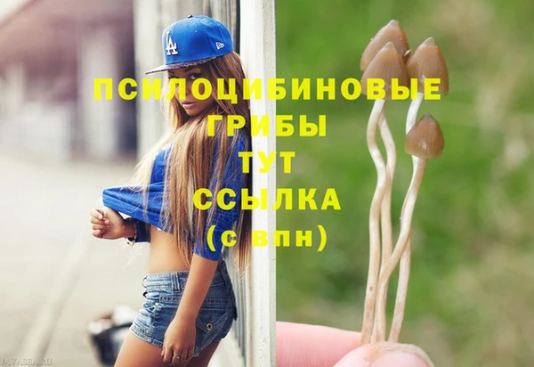 метадон Абаза